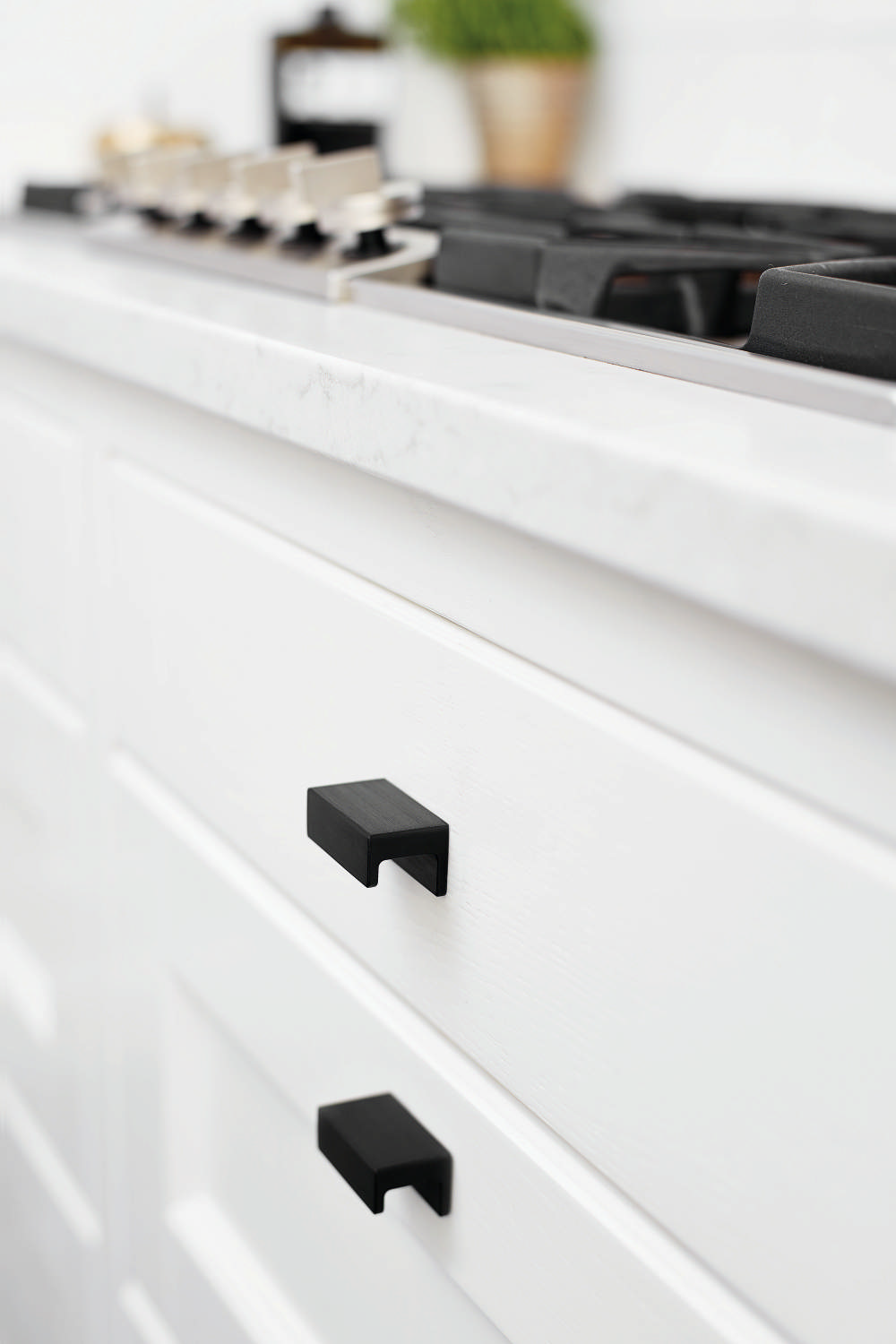 Station Knob