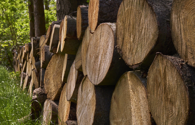 FSC Wood